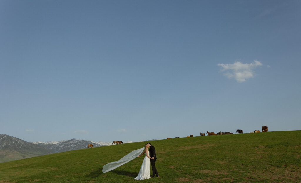 Bride and groom walking through open pasture during a luxurious Wyoming horse elopement at Heiner Ranch near Jackson Hole