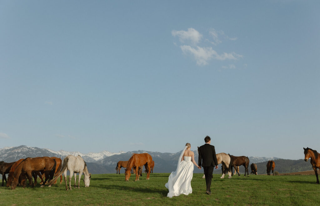 Bride and groom walking through open pasture during a luxurious Wyoming horse elopement at Heiner Ranch near Jackson Hole