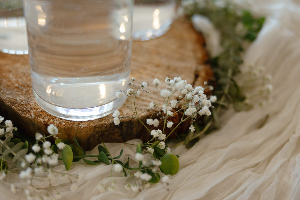 Oak Glen Golf Course wedding reception in Stillwater MN