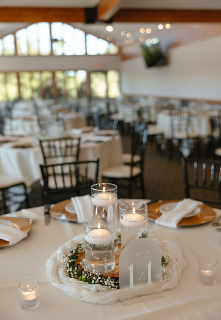 Oak Glen Golf Course wedding reception in Stillwater MN