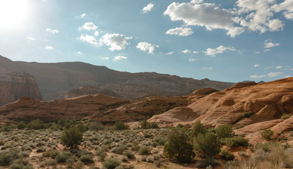 Wide landscape view of red rock formations at Snow Canyon State Park